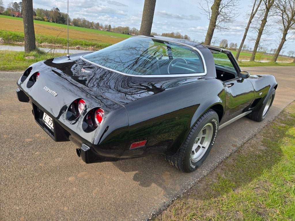 Chevrolet USA Corvette 5.7 Targa, foto 3