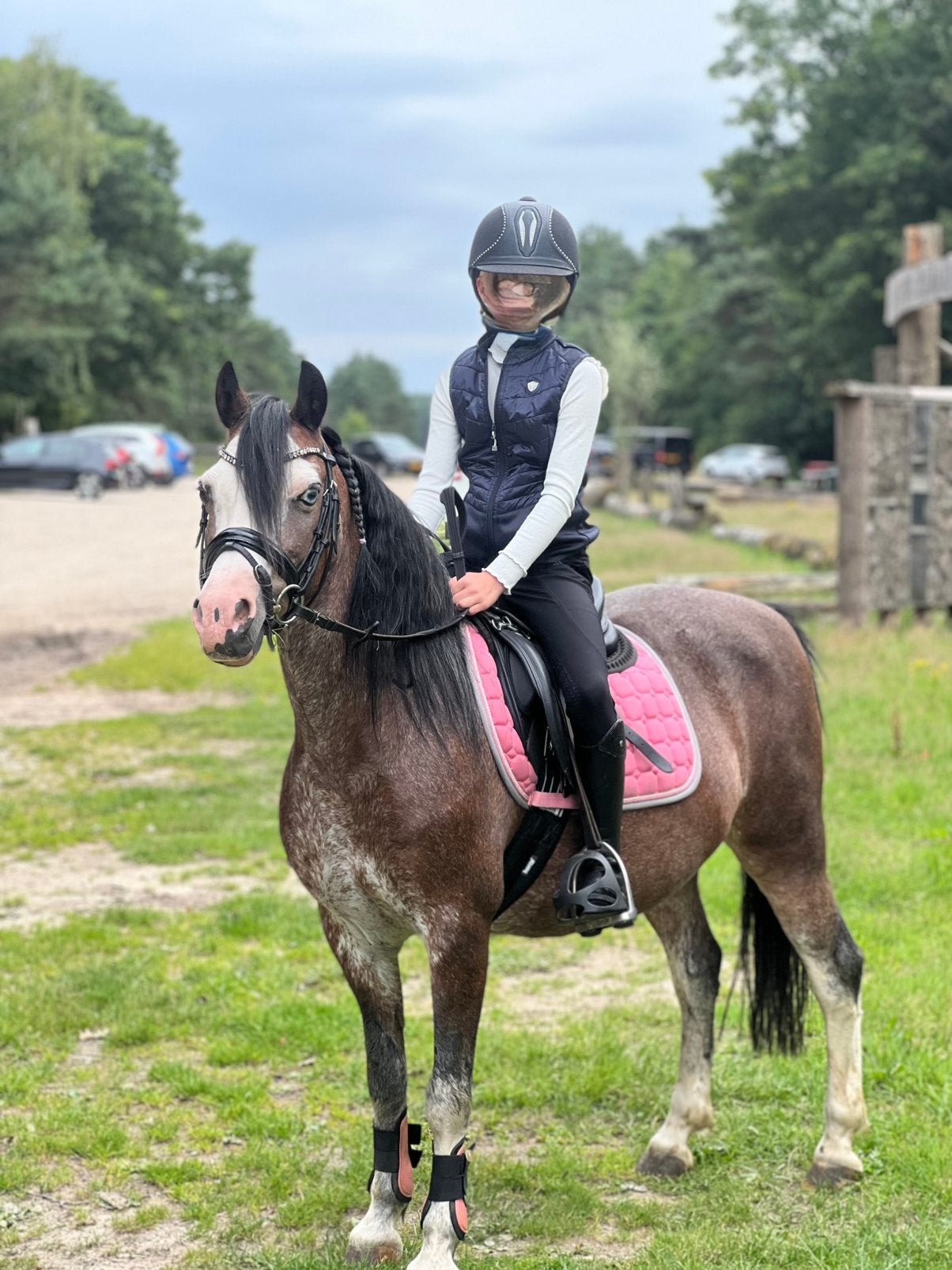 Liefste beginners pony, Merrie, Met stamboom, Springpony, L