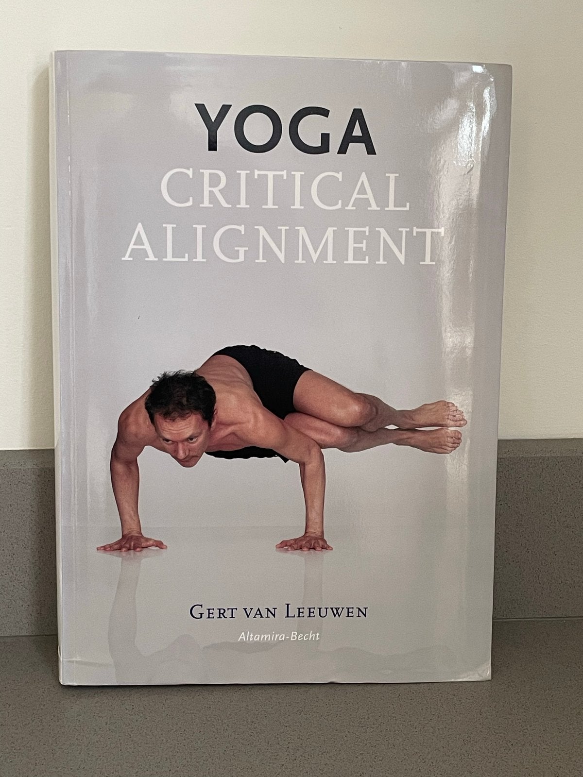 Yoga Critical Alignment - Gert van Leeuwen (2009), Ophalen of Verzenden, Gelezen, Gezondheid en Conditie