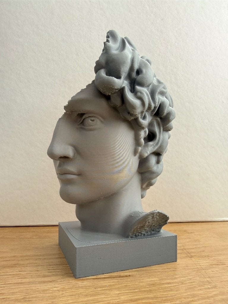 3D Geprinte Buste - David van Michelangelo (Modern), Verzenden, Nieuw, Mens