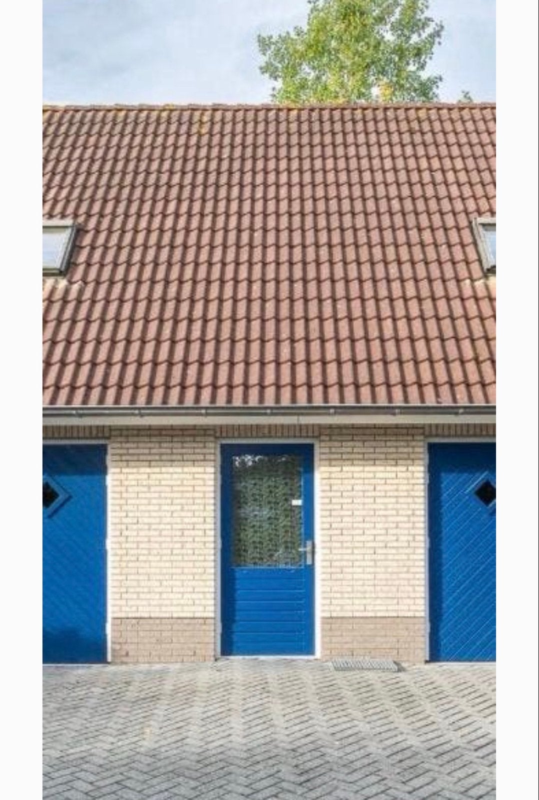 Schuur Middelste Deur met Glaspaneel (102x220 cm), 100 tot 120 cm, Gebruikt, 215 cm of meer, Garagedeur