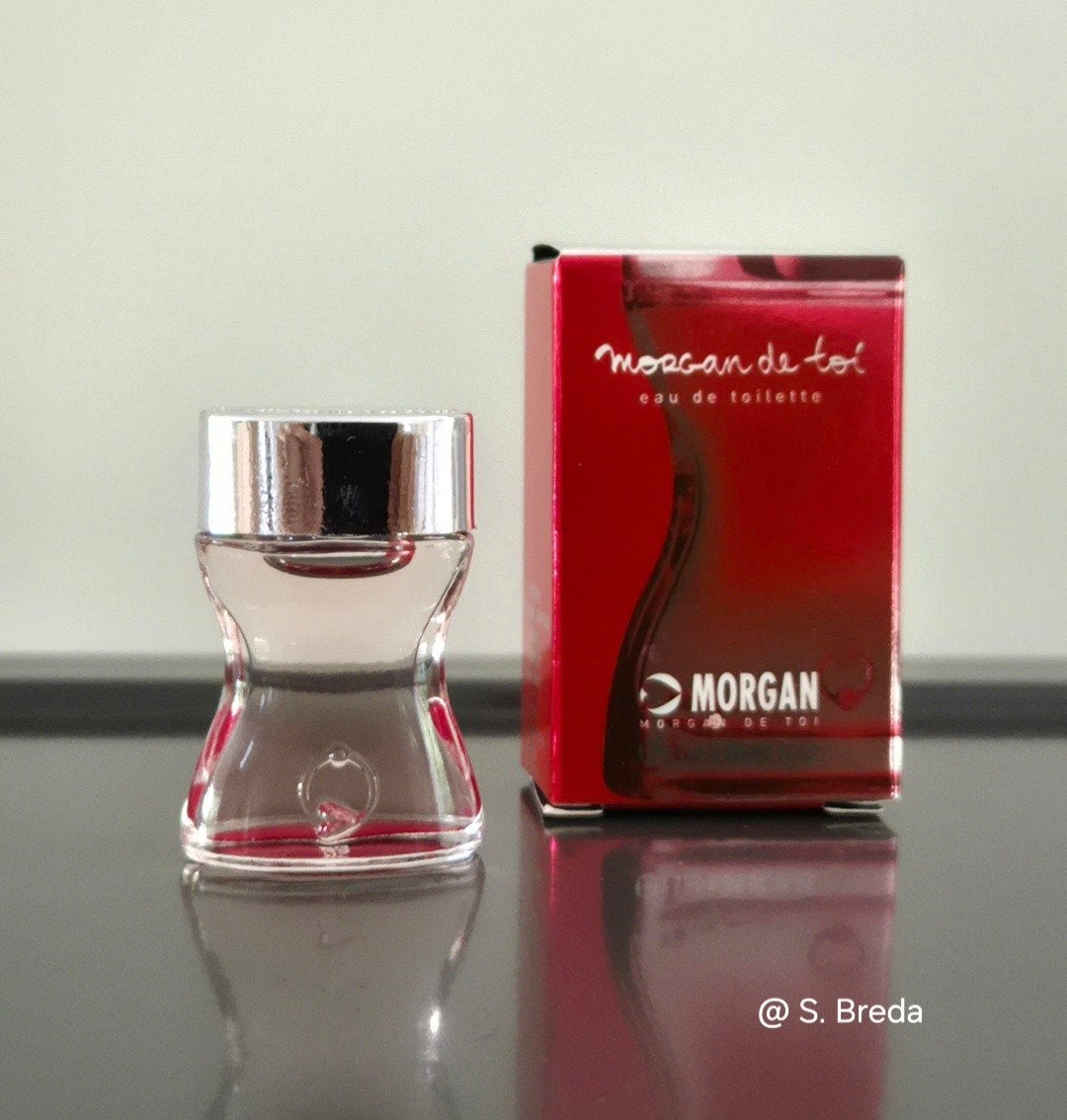 Morgan de Toi - discontinued miniatuur in doosje, Ophalen of Verzenden, Zo goed als nieuw