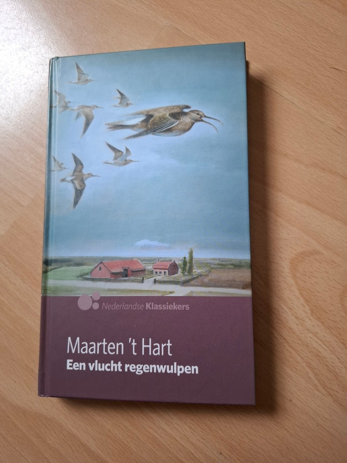 Maarten t hart Een vlucht Regenwulpen, Ophalen of Verzenden