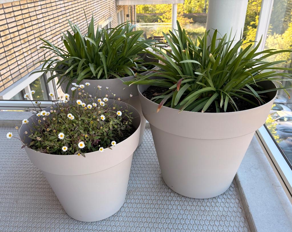 4 easydays bloempotten & doppio gieter, Ophalen, Kunststof, 40 cm of meer, Rond