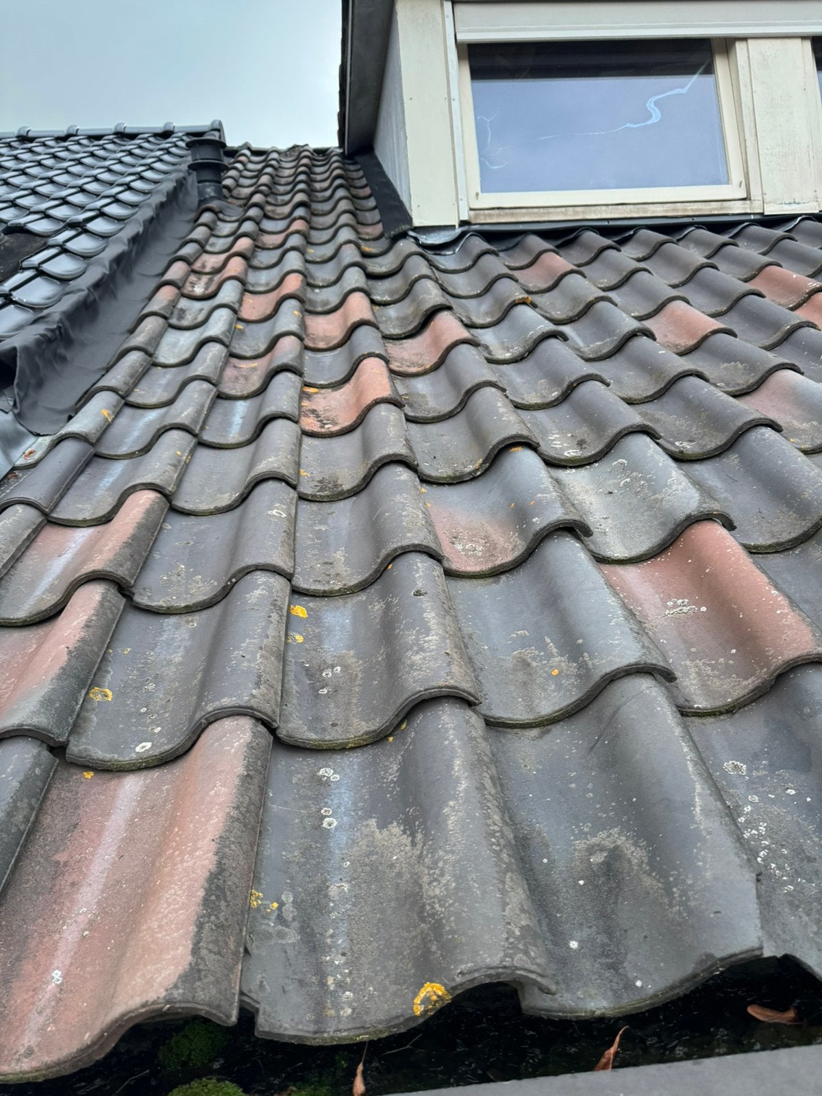 Hollandse dakpannen, Doe-het-zelf en Verbouw, Ophalen, Gebruikt, Steen of Klei, Zwart