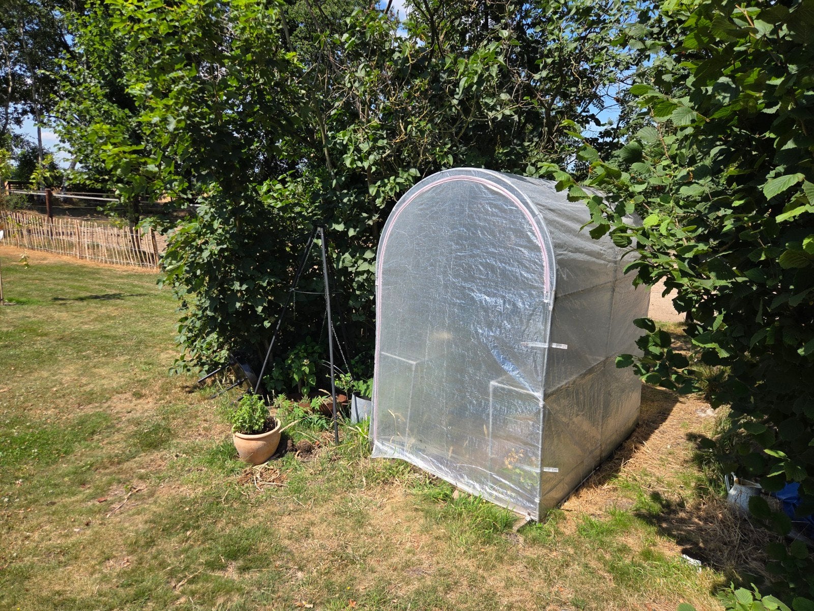 3 maanden oude tuinkas 123x190x190 cm, Tuin en Terras, Kassen, Ophalen, Folie, Kweekkas, Zo goed als nieuw