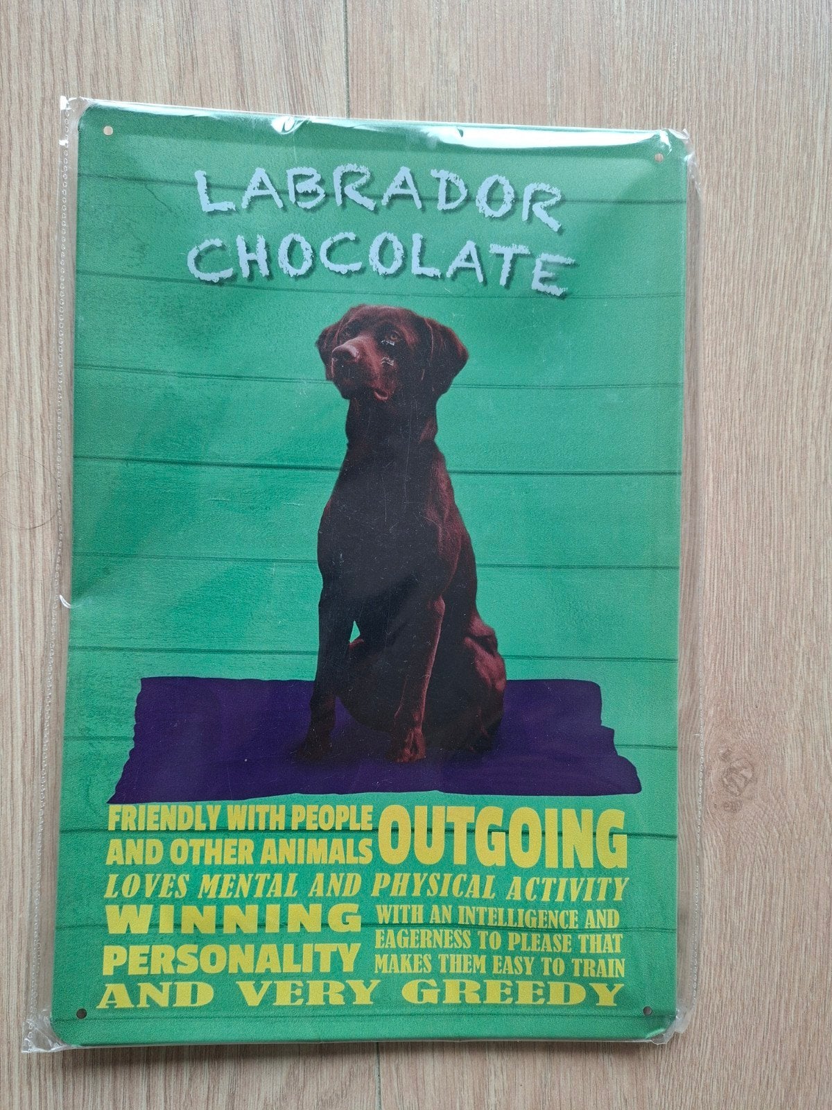 Metalen bord Labrador Chocolate - 20x30 cm, Metaal, Meerkleurig, Nieuw, Ophalen of Verzenden