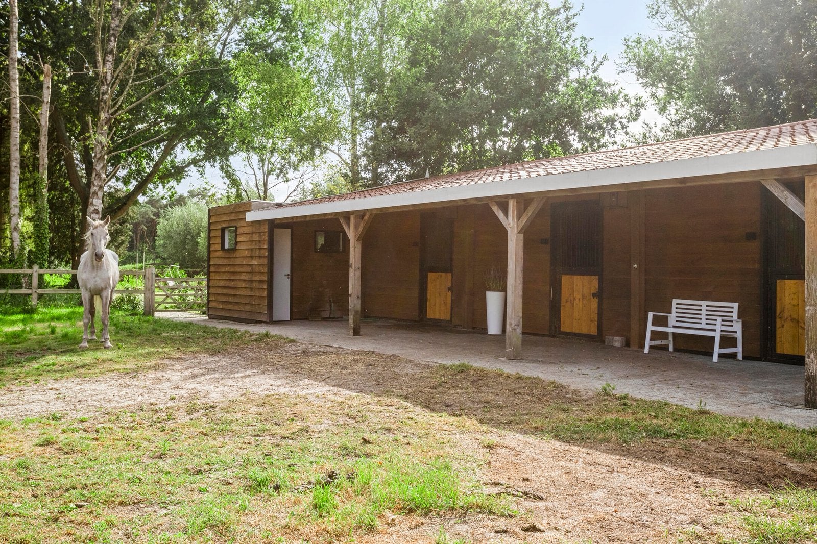 Te huur: 0.5 ha weiland, drie paardenstallen, zadelkamer, Weidegang, 2 of 3 paarden of pony's