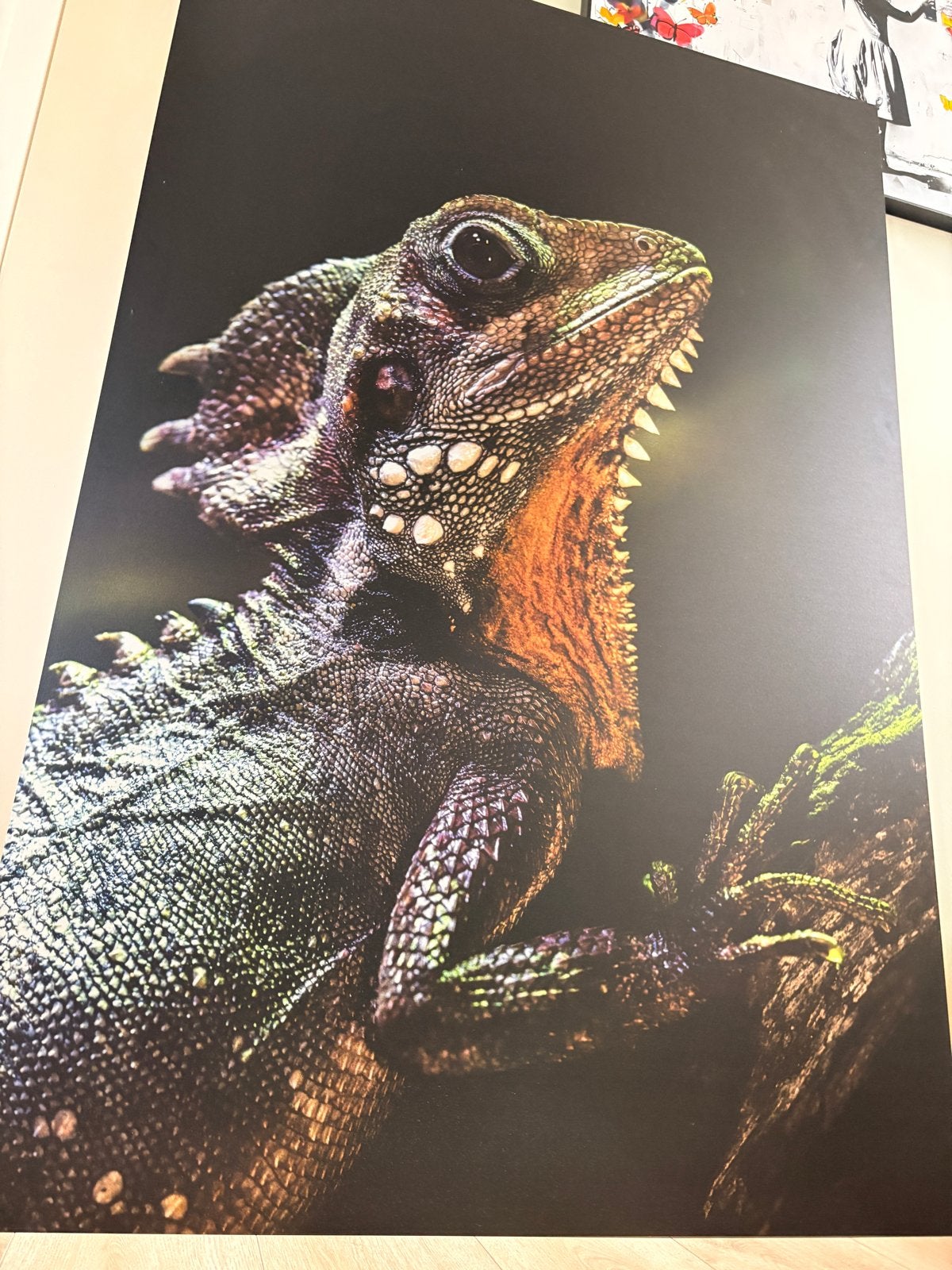 Grote dibond print hagedis - 1.50m hoog, Ophalen, Zo goed als nieuw, 75 tot 100 cm, Print