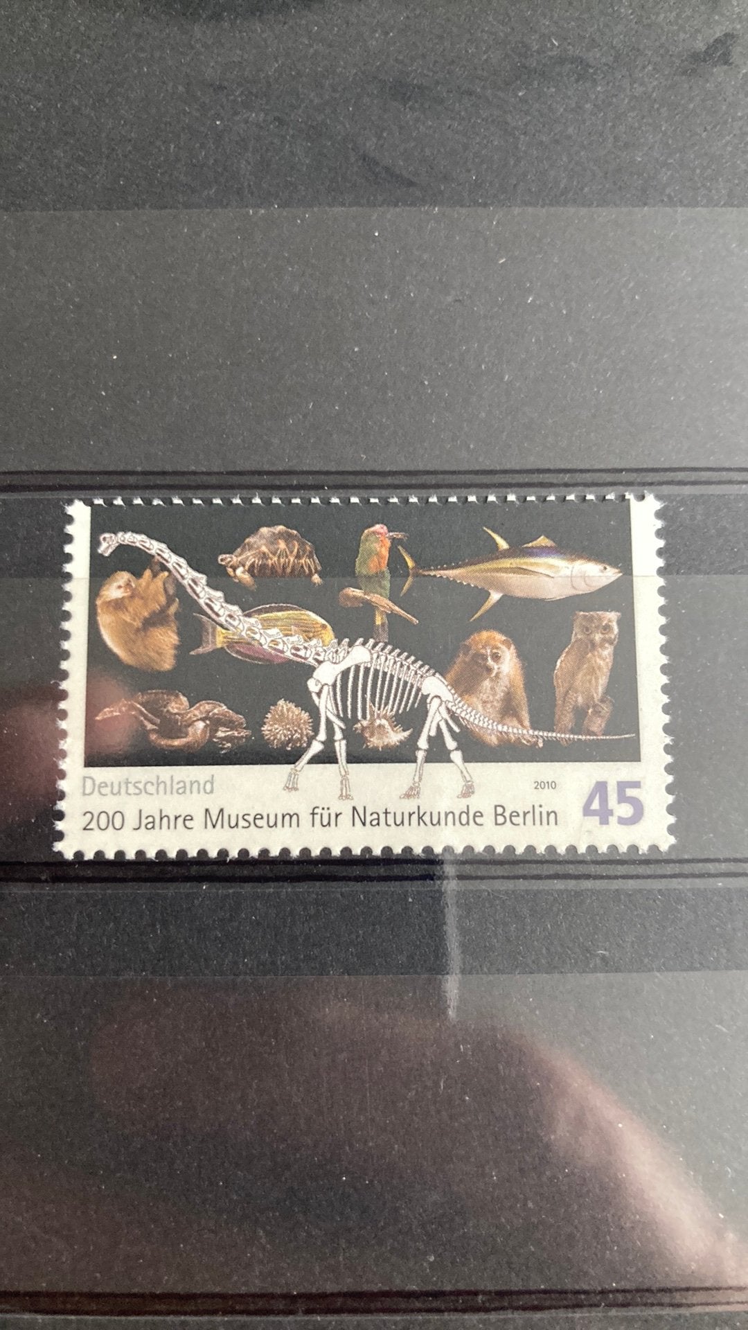 Duitsland 2775 dinosaurus postfris/1164, Ophalen of Verzenden, 1990 tot heden