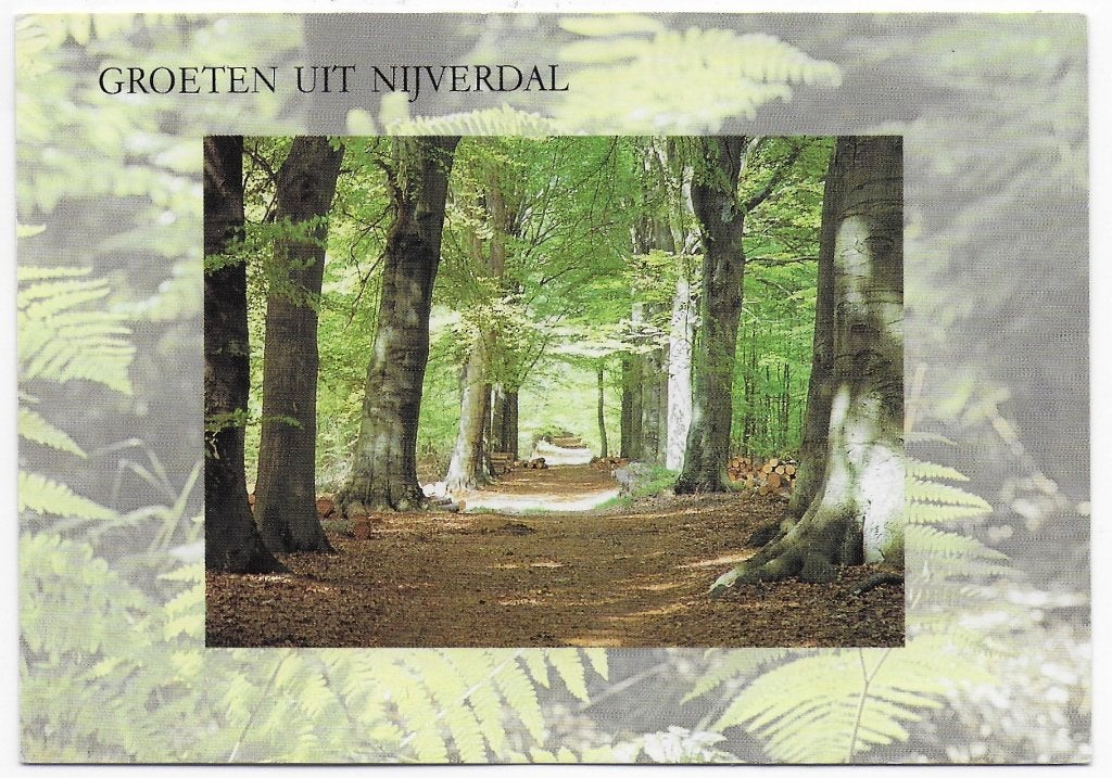 Nijverdal gelopen Ansichtkaart (B2465 ), Ophalen of Verzenden, 1980 tot heden, Gelopen