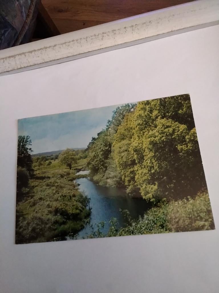 GROETEN UIT OMMEN. 1971. STEILE OEVER, Ophalen of Verzenden, 1960 tot 1980, Overijssel