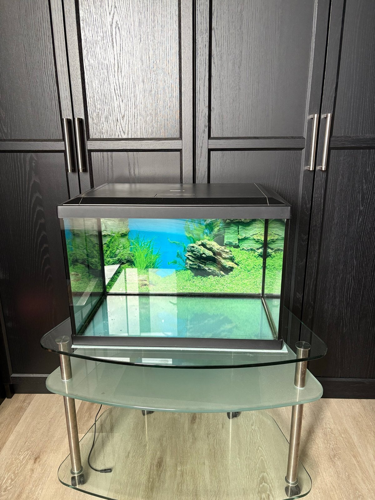 Superfish Aquarium 70 liter, Ophalen, Gebruikt, Leeg aquarium, Superfish