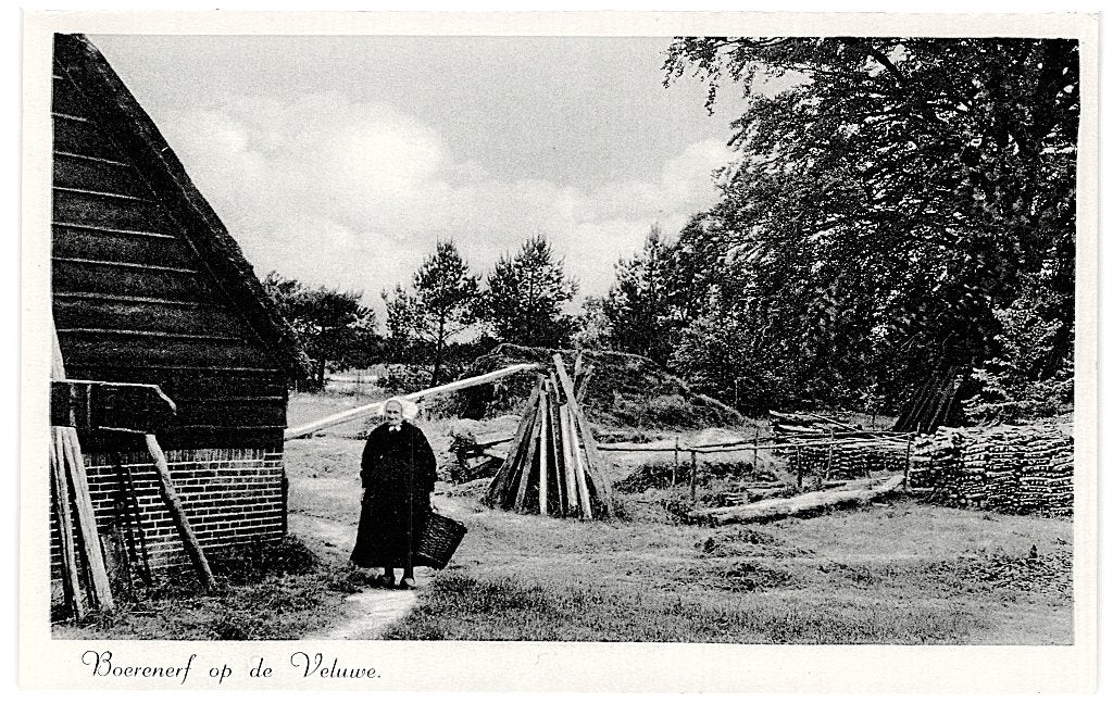 970255 Veluwe Boerderij Klederdracht Niet Gelopen, Ophalen of Verzenden, 1940 tot 1960, Ongelopen, Gelderland