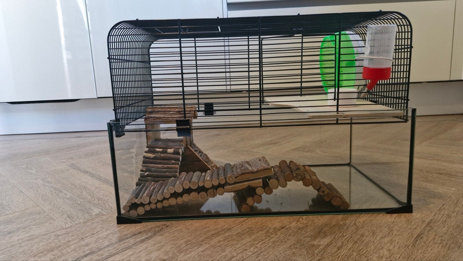 Hamsterkooi met toebehoren, Kooi, Minder dan 75 cm, Zo goed als nieuw, Ophalen