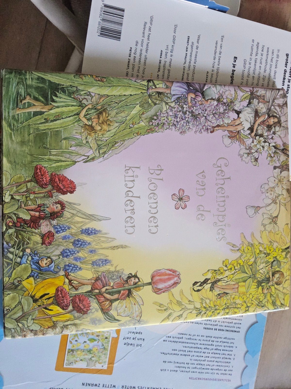 Geheimpjes van de Bloemenkinderen Sprookjes Cicely Barker, Ophalen of Verzenden, Zo goed als nieuw, Cicely Mary Barker, Sprookjes