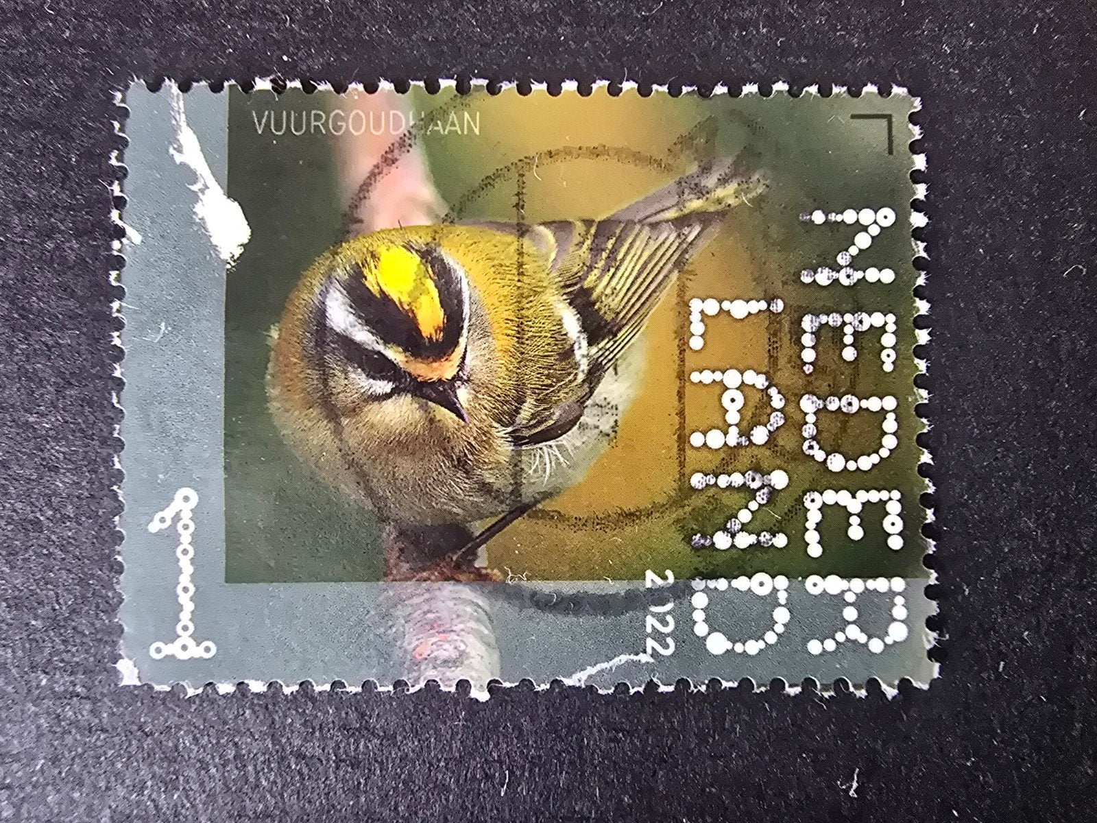 Beleef de Natuur 2022 - Vuurgoudhaan, Postzegels en Munten, Ophalen of Verzenden, Na 1940, Gestempeld