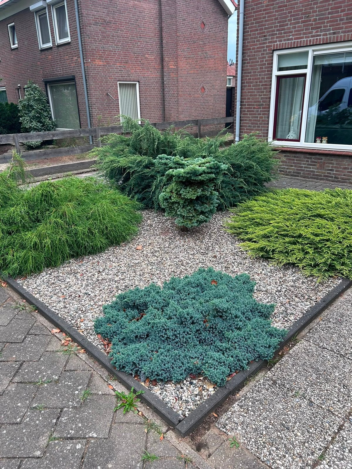 Gratis grind, Ophalen of Verzenden, 100 tot 250 cm
