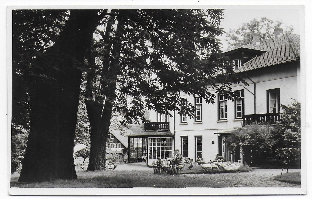 Oosterbeek Hotel Dreyeroord Ansichtkaart (B7513 )  ongelopen, Ophalen of Verzenden, 1960 tot 1980, Gelderland