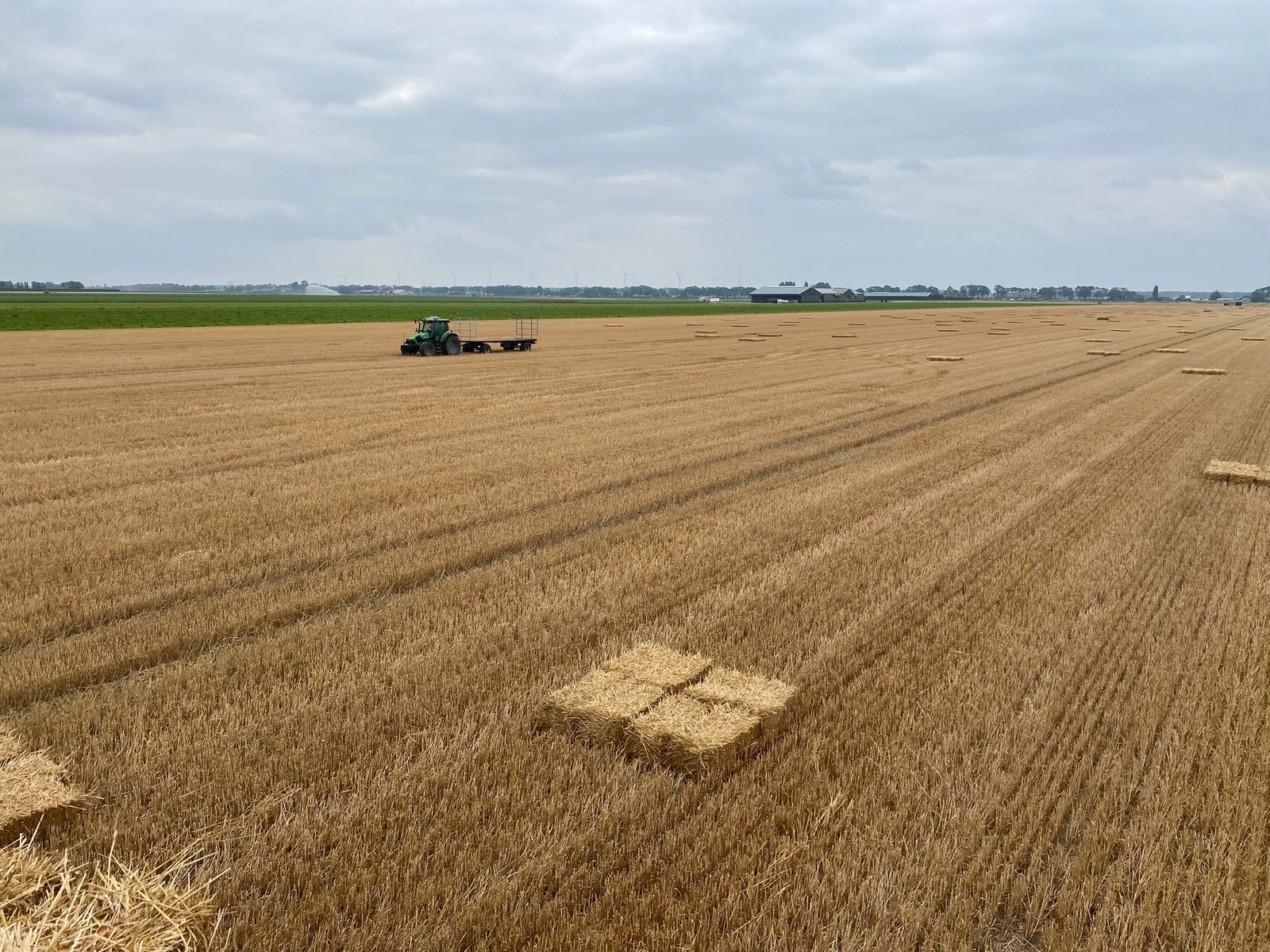 Kleine pakjes stro stro balen, Dieren en Toebehoren