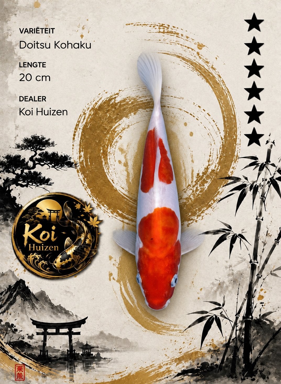 Doitsu Kohaku koi 20cm, Ophalen