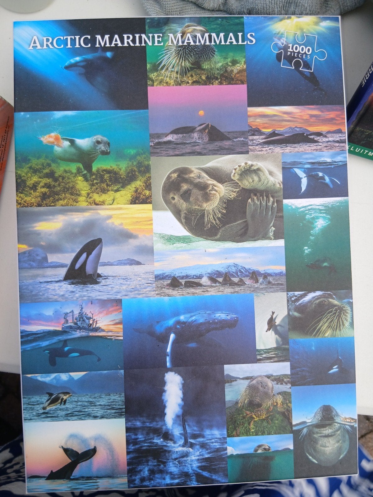 Arctic Marine Mammals Legpuzzel 1000 stukjes, Ophalen, 500 t/m 1500 stukjes, Zo goed als nieuw, Legpuzzel