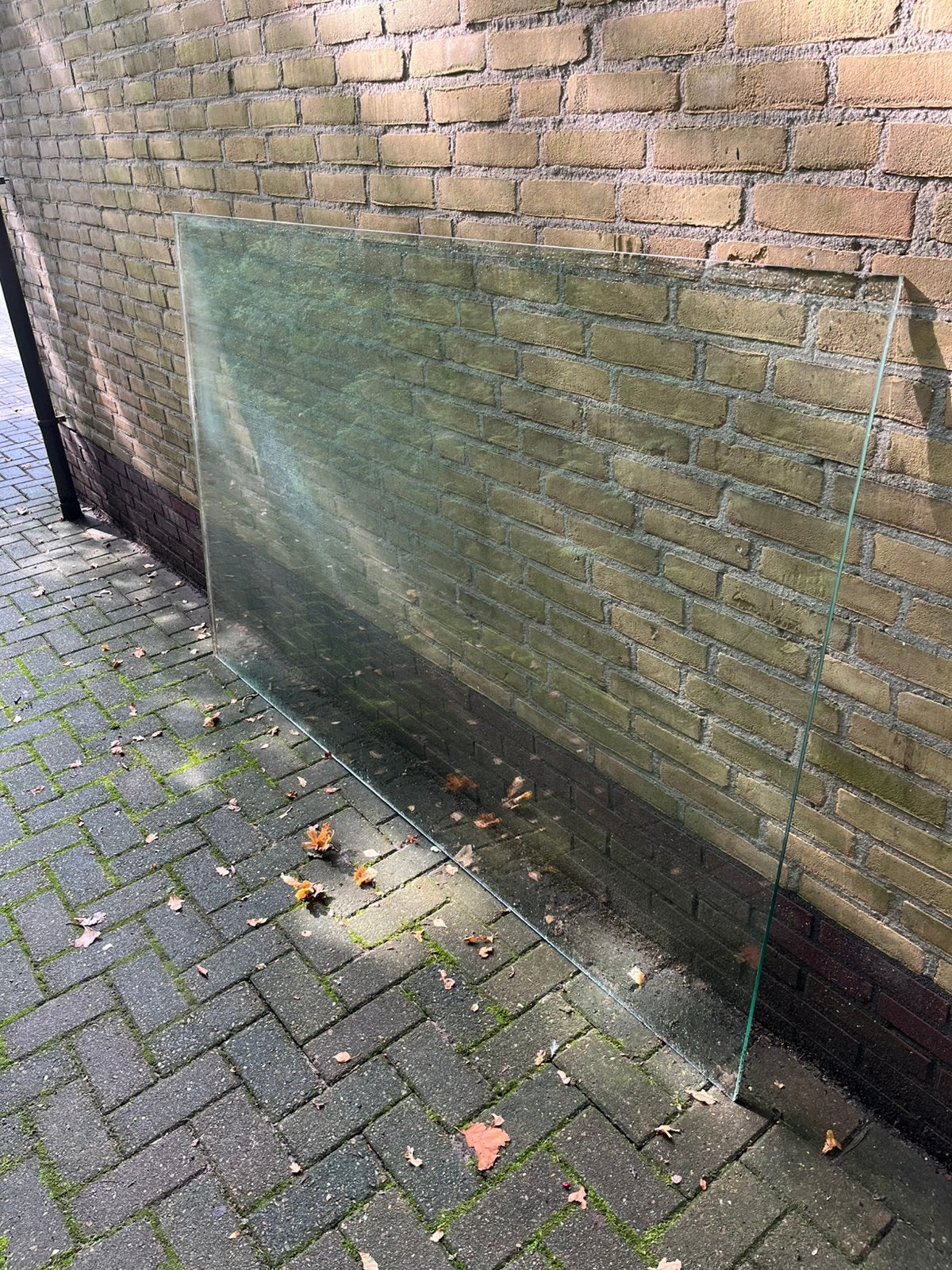 Grote glasplaat (voormalige douchewand) 125 x 202 x 0,5, Ophalen, Gebruikt, 120 tot 160 cm, Glasplaat