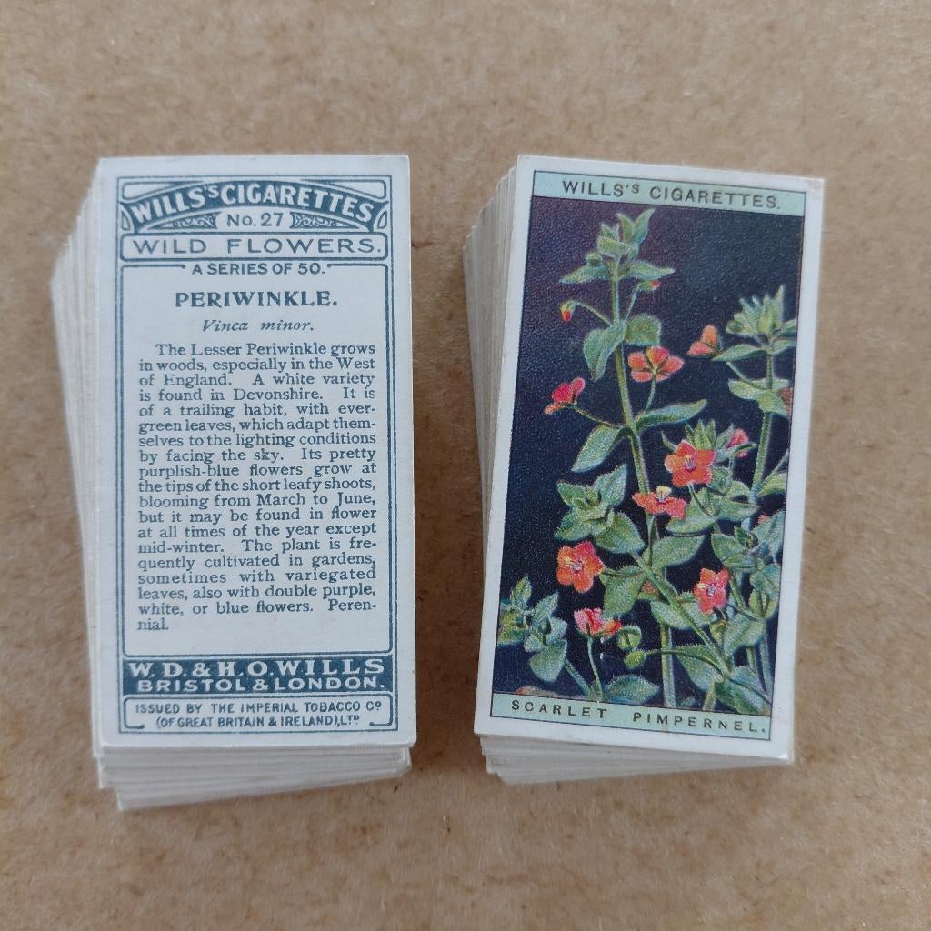 Wild Flowers complete set 50 cigarette cards bloemen 1923, Ophalen
