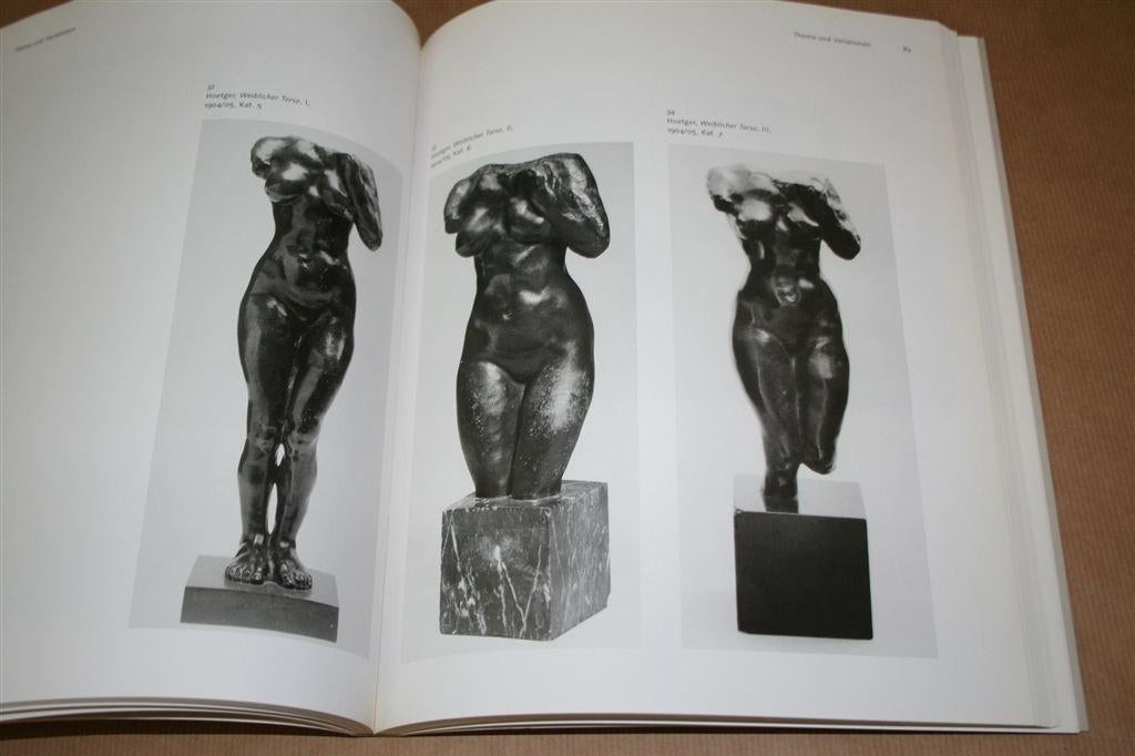 Rodin en beeldhouwkunst in Parijs rond de eeuwwisseling., Boeken, Ophalen of Verzenden, Zo goed als nieuw
