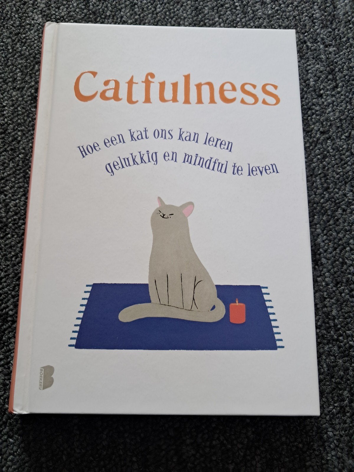 Catfulness: Hoe een kat ons leert gelukkig te leven, Ophalen of Verzenden, Zo goed als nieuw, Sarah S. Davis, Nederland