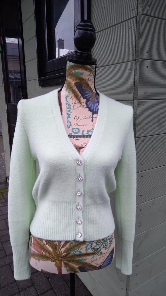 Zara vest mintgroen met strass sierknopen L, Kleding | Dames, Verzenden, Zara, Maat 42/44 (L), Nieuw