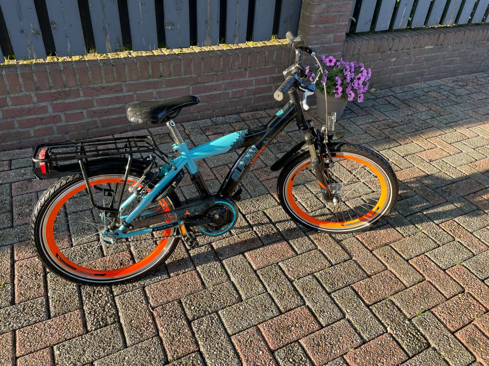 ALPINA YABBER JONGENSFIETS 20 inch, Ophalen, Zo goed als nieuw, Terugtraprem, 20 inch