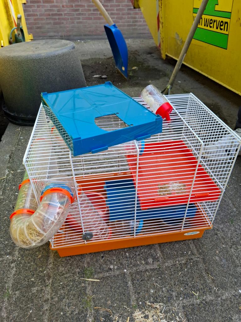Hamster kooi, Minder dan 60 cm, Kooi, Minder dan 75 cm, Ophalen of Verzenden