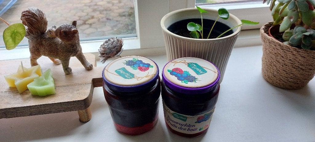 Pannkoekplantjes, Ophalen, Halfschaduw, Minder dan 100 cm, Groene kamerplant