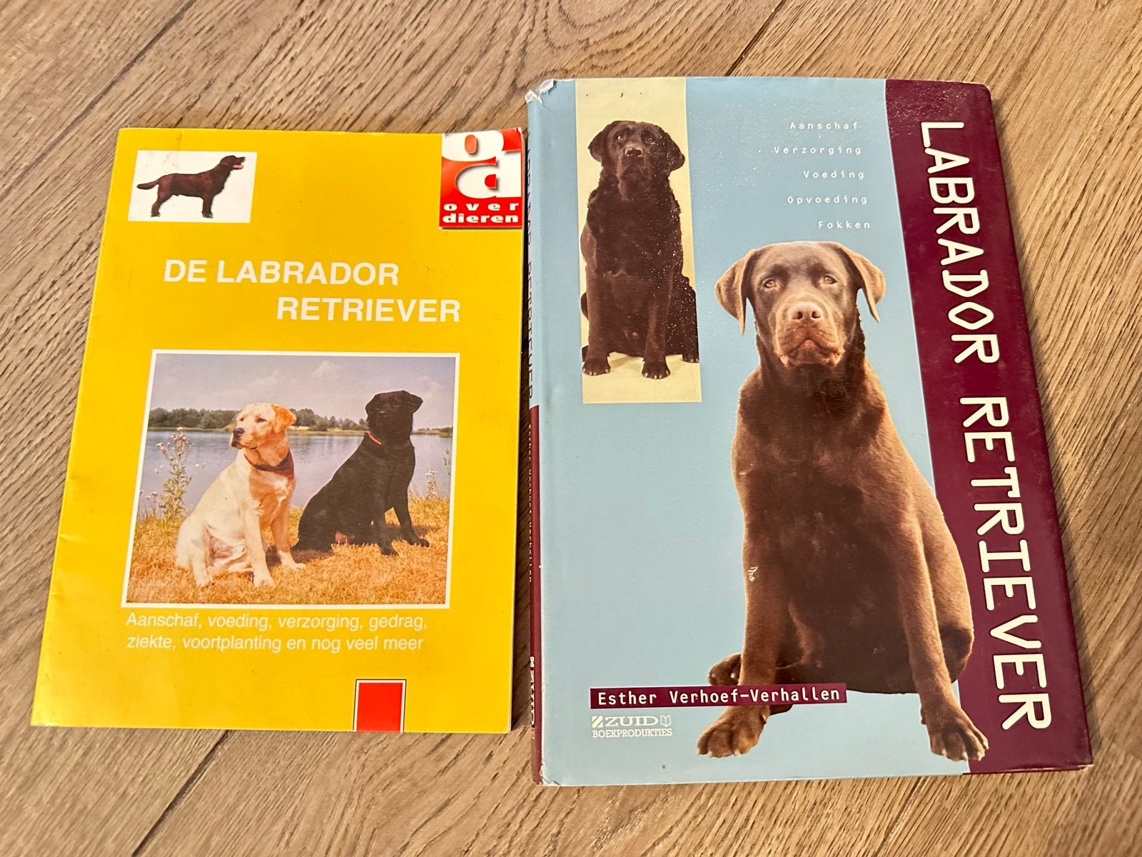 2 Labrador Retriever boeken: aanschaf, verzorging, opvoeding, Boeken, Dieren en Huisdieren, Gelezen, Honden, Ophalen