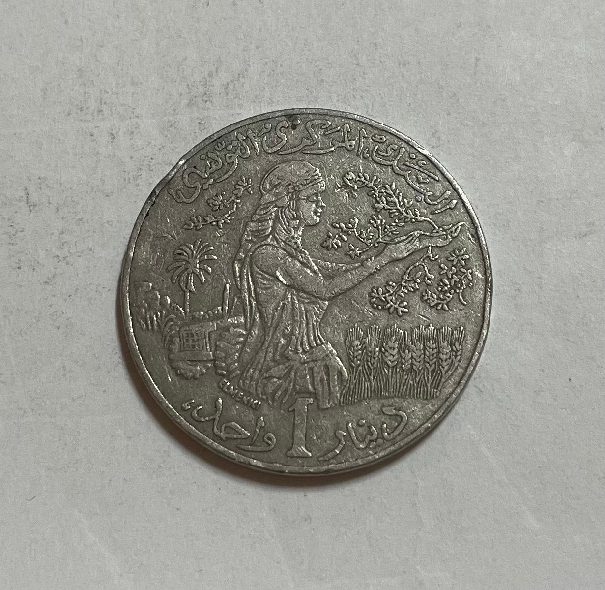 1 dinar Tunesië 1996, Ophalen of Verzenden, Midden-Oosten