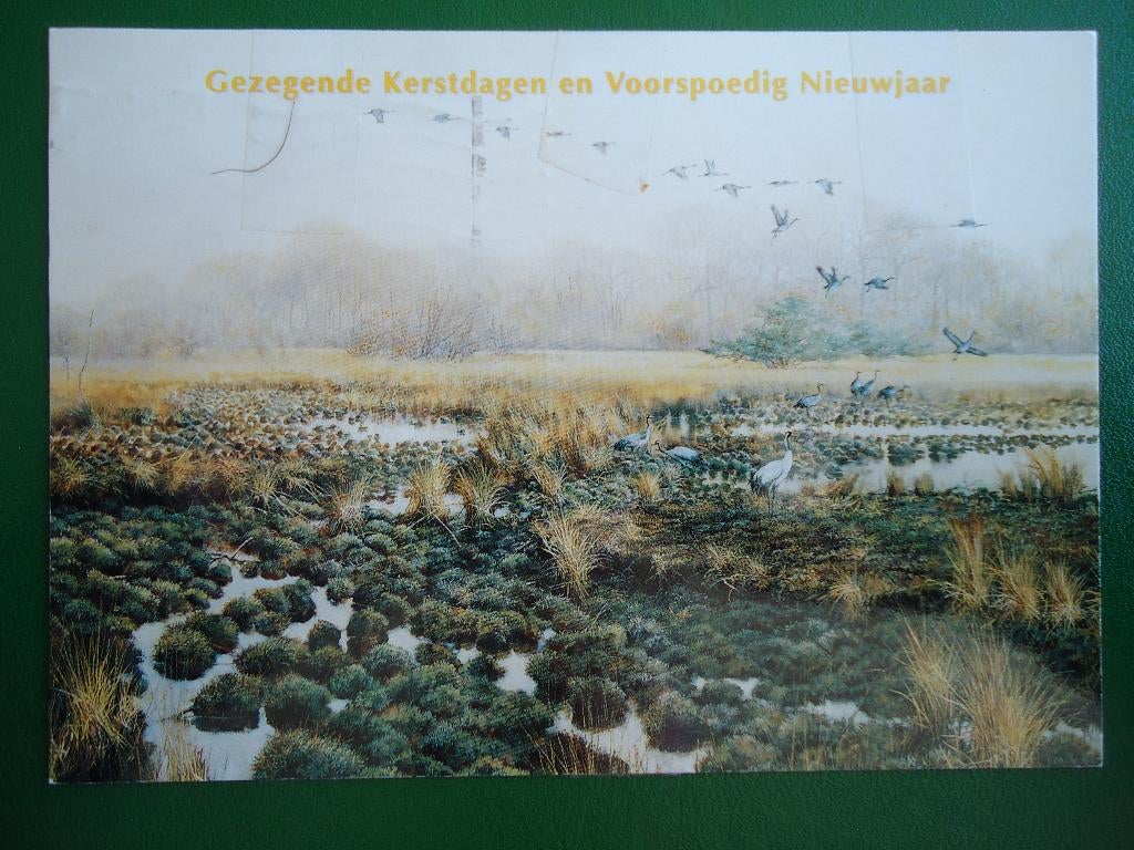 (1163) Dierenkaart: VOGELS, Verzenden, 1980 tot heden, Gelopen, Vogel