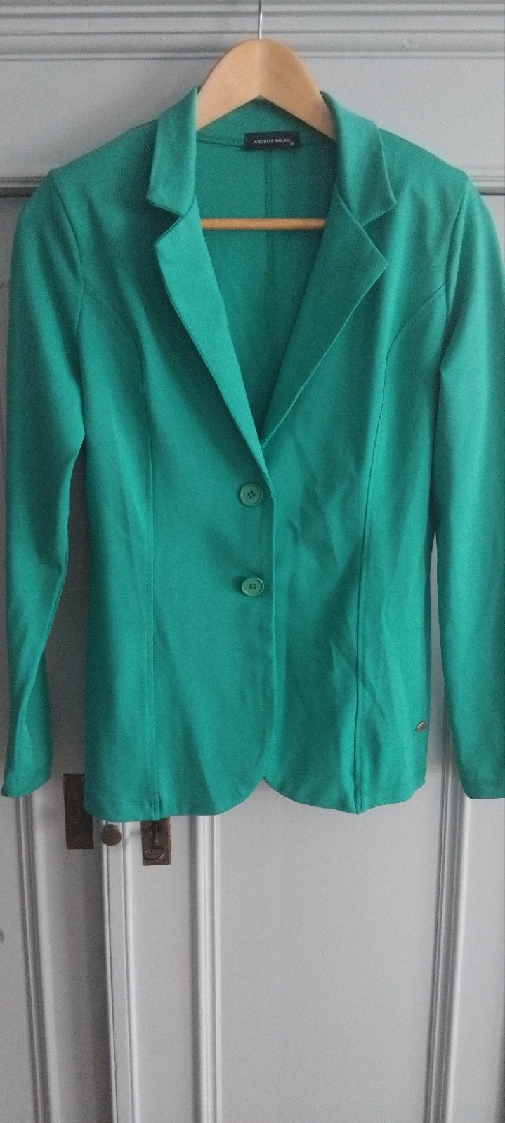 Nieuw Angelle Milan Jasje - Feller Groen dan op Foto, Kleding | Dames, Jasjes, Kostuums en Pakken, Maat 38/40 (M), Angelle Milan