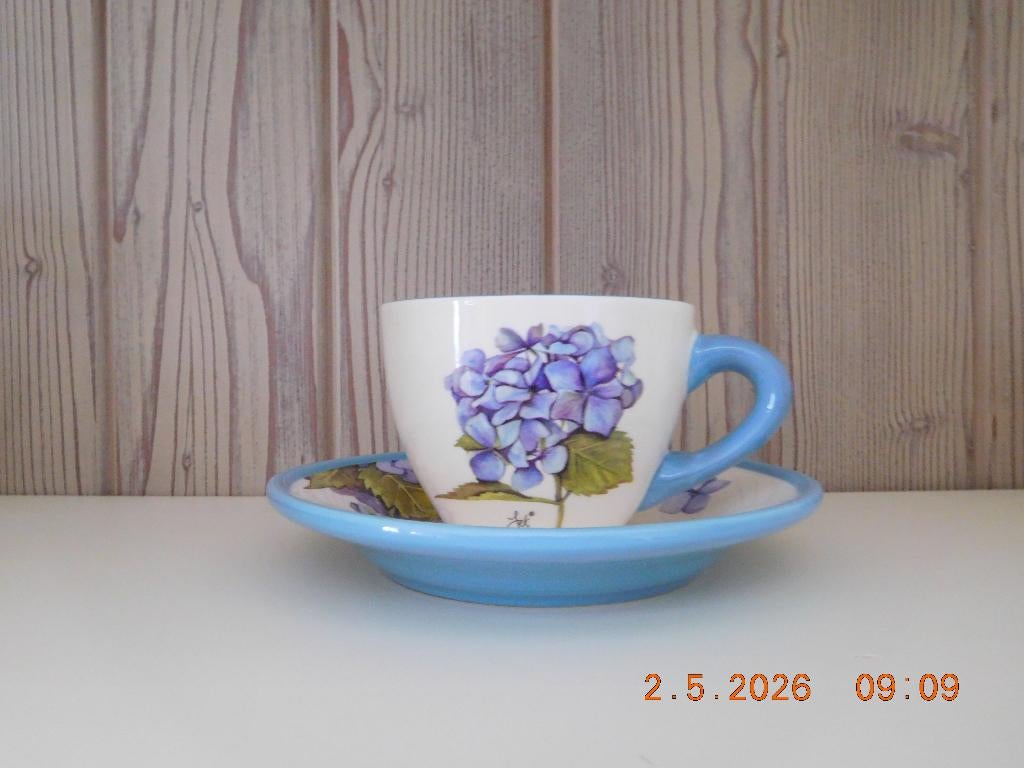 Kop en schotel Hortensia (Jet by Ter Steege), Ophalen, Zo goed als nieuw, Porselein, Kop en/of schotel