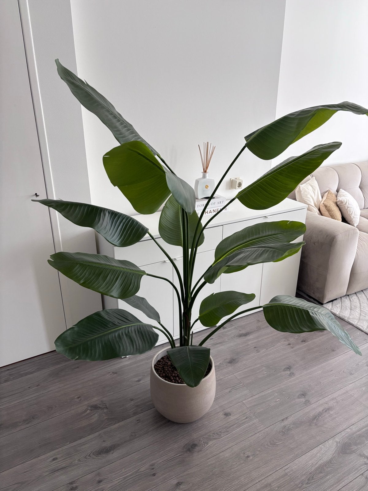 Grote realistische kunstplant Strelitzia incl. pot, Ophalen, Binnen, Groen, Kunstplant