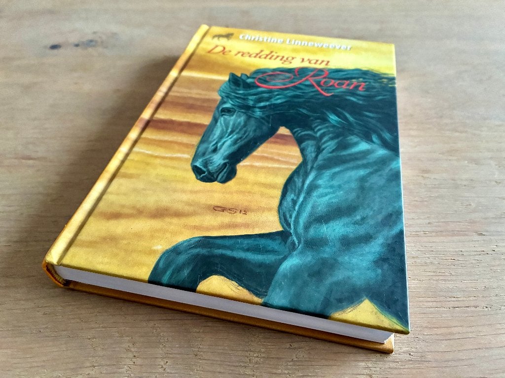 De redding van Roan – Christine Linneweever, Ophalen of Verzenden, Zo goed als nieuw