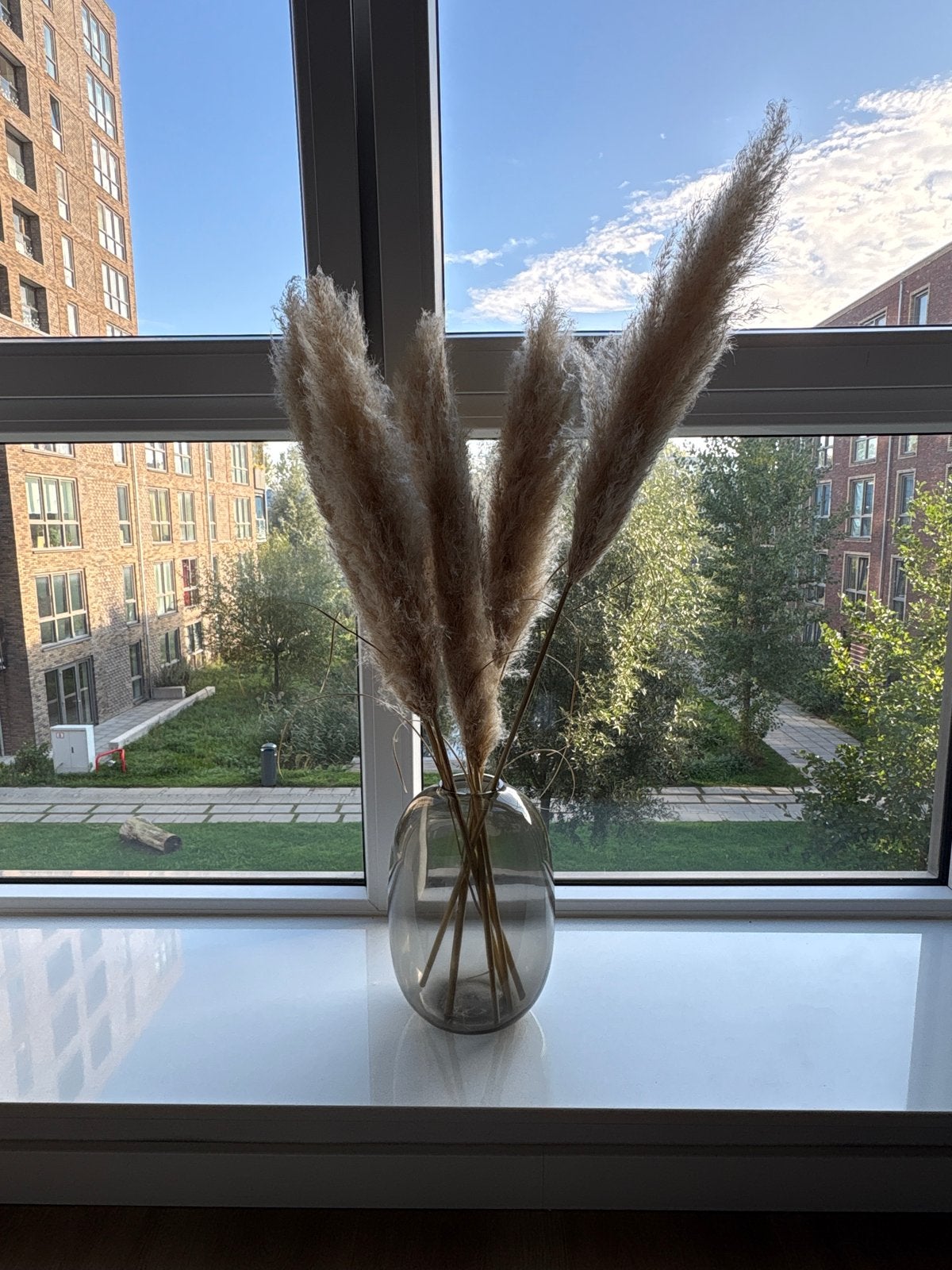 Glazen vaas met pampas pluimen, Ophalen, Transparant, Inclusief decoratie, Glas