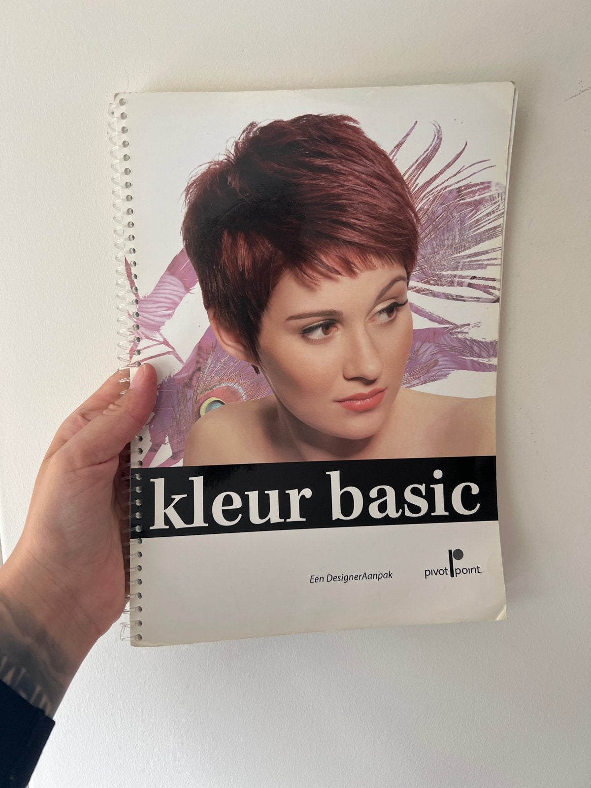 Kleur Basic - Een Designer Aanpak (Pivot Point), Ophalen of Verzenden, Gelezen, MBO