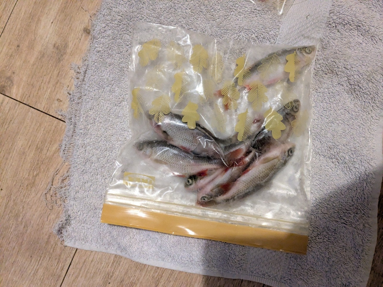 aasvis. bv snoekbaars, Ophalen, Nieuw, Overige typen