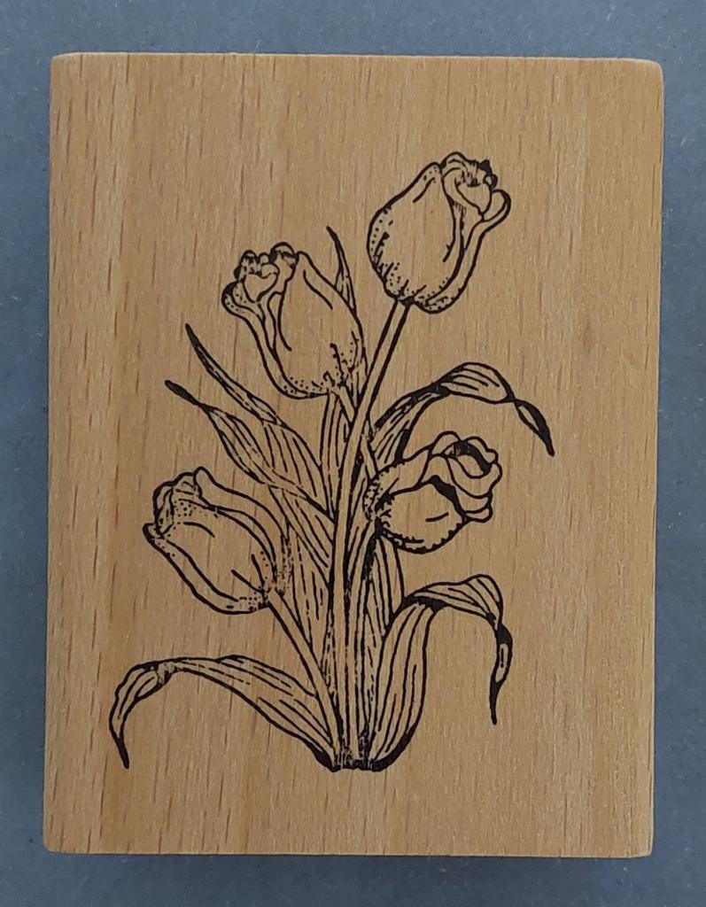 Stempel Magic D - Tulpen, Hobby en Vrije tijd, Stempelen, Ophalen of Verzenden, Nieuw, Houten stempel