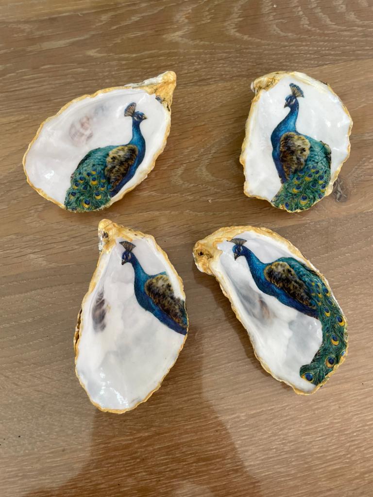 Oesters, Meerkleurig, Nieuw, Ophalen of Verzenden, Natuurlijk materiaal
