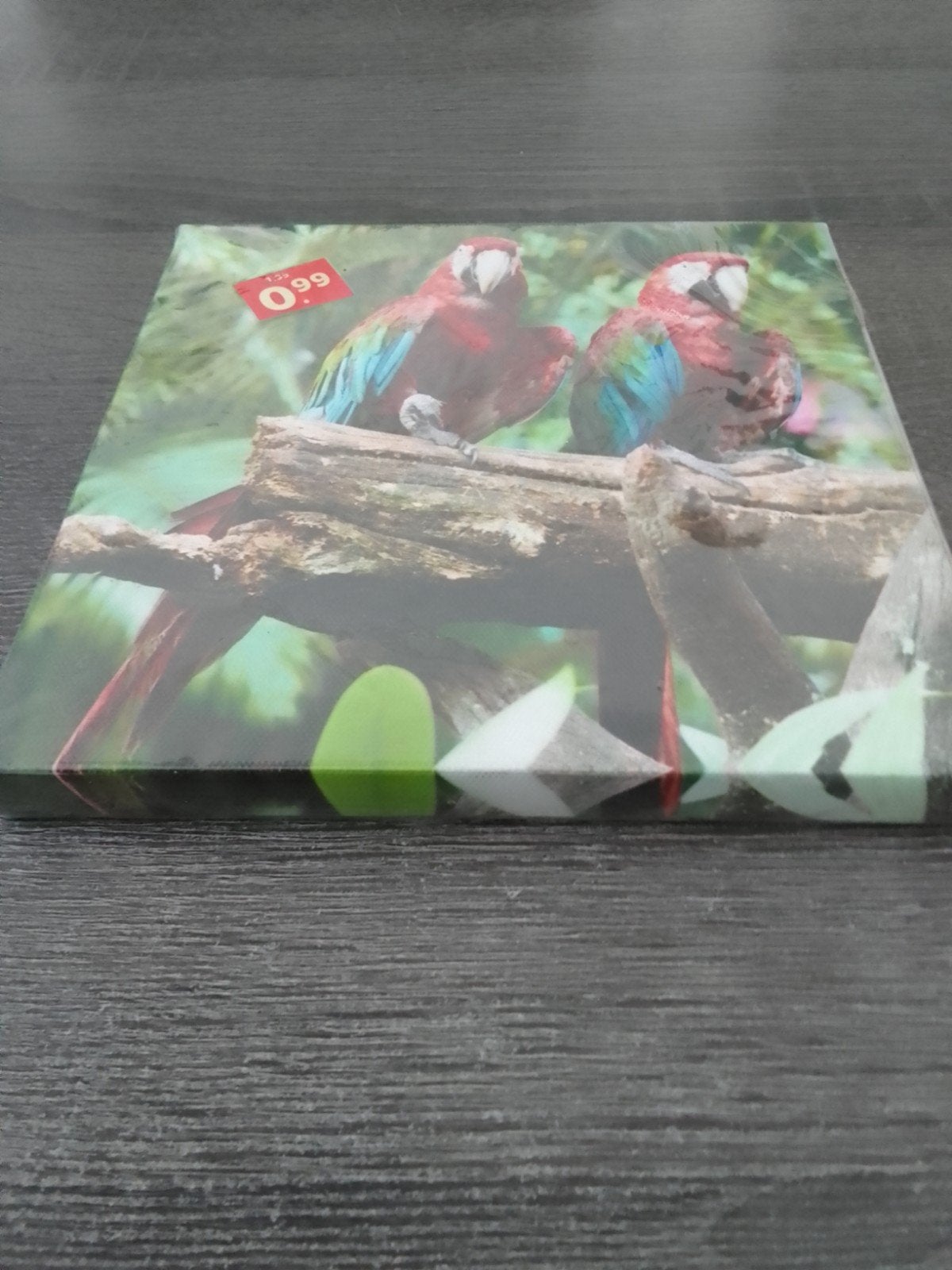 Canvas schilderij met papegaaien, Ophalen, Minder dan 50 cm, Gebruikt, Schilderij