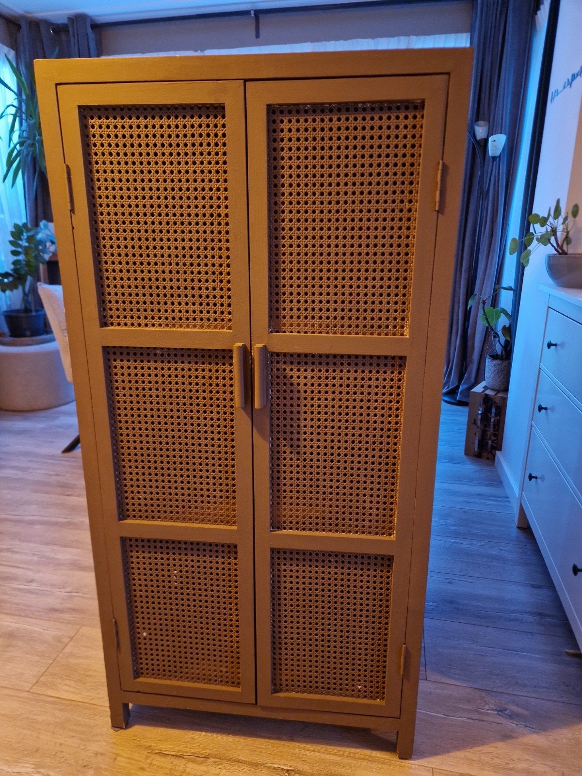 2 Xenos kasten met rotan deuren - geschilderd, Ophalen of Verzenden, Gebruikt