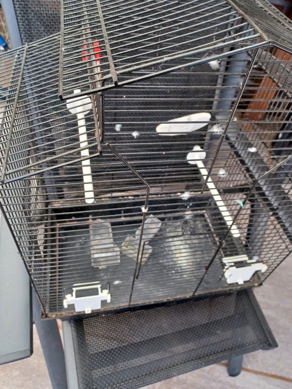 Zwarte vogelkooii, Ophalen of Verzenden, Kunststof, Vogelkooi