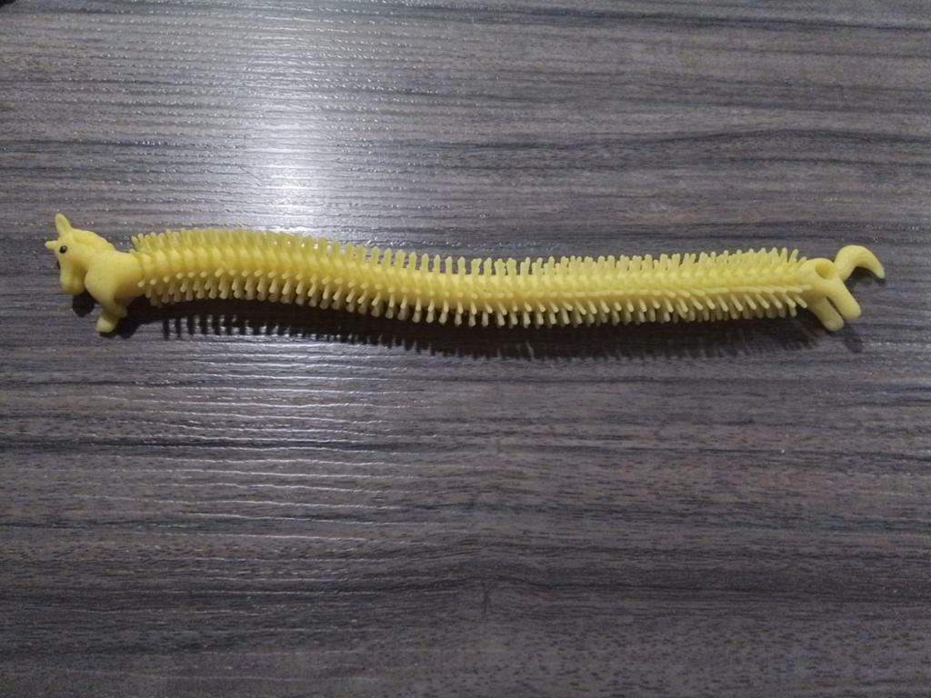 Nieuw uitrekbaar paarden armband, Ophalen of Verzenden, Nieuw